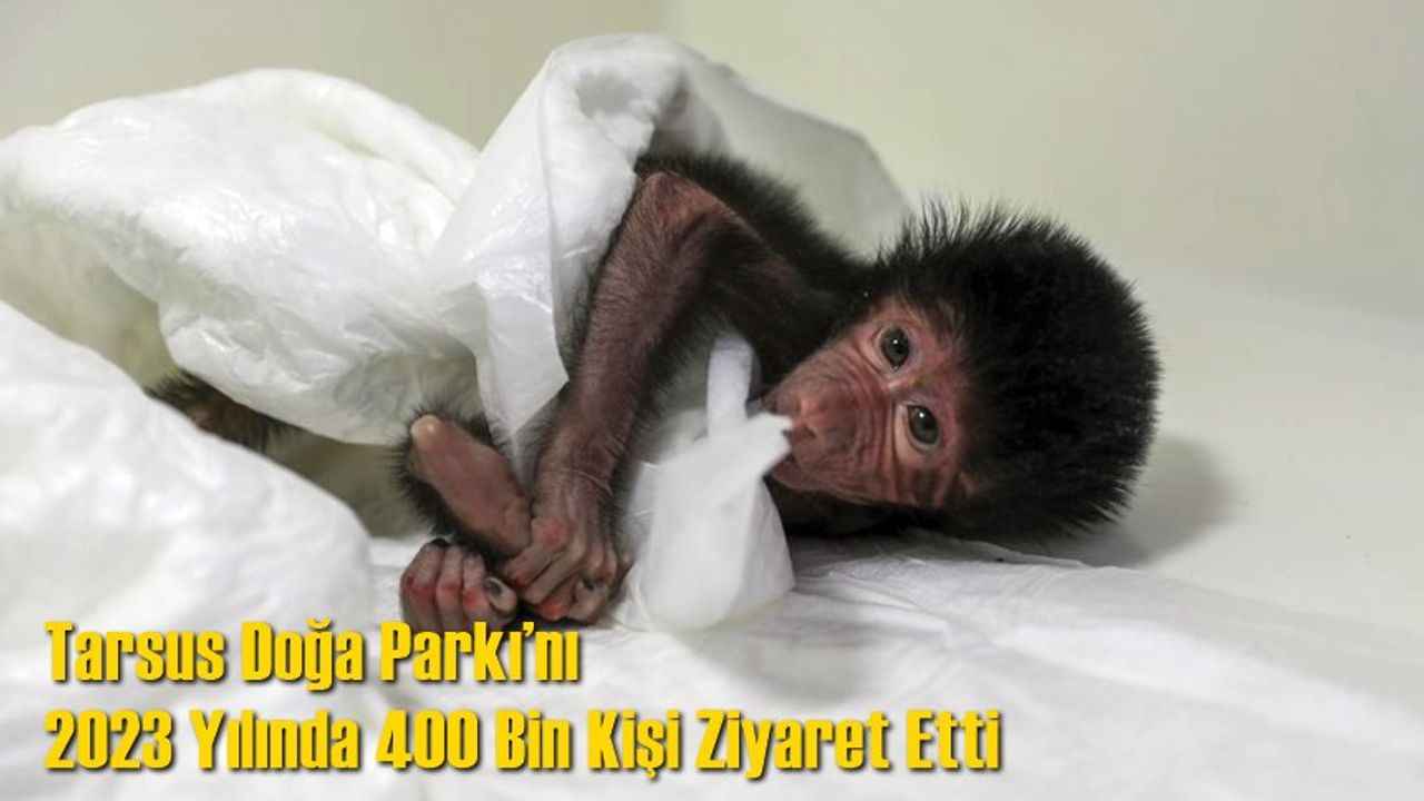 Tarsus Doğa Parkı’nı 2023 Yılında 400 Bin Kişi Ziyaret Etti