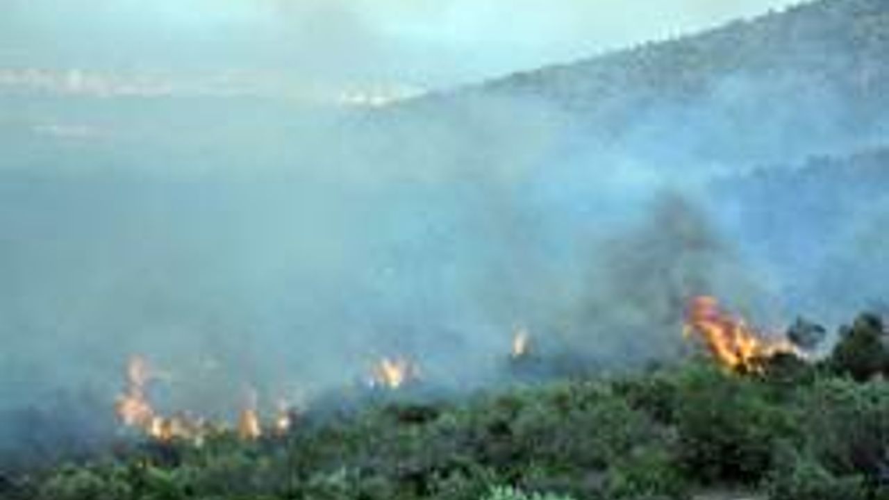 Tarsus'ta Orman Yangını