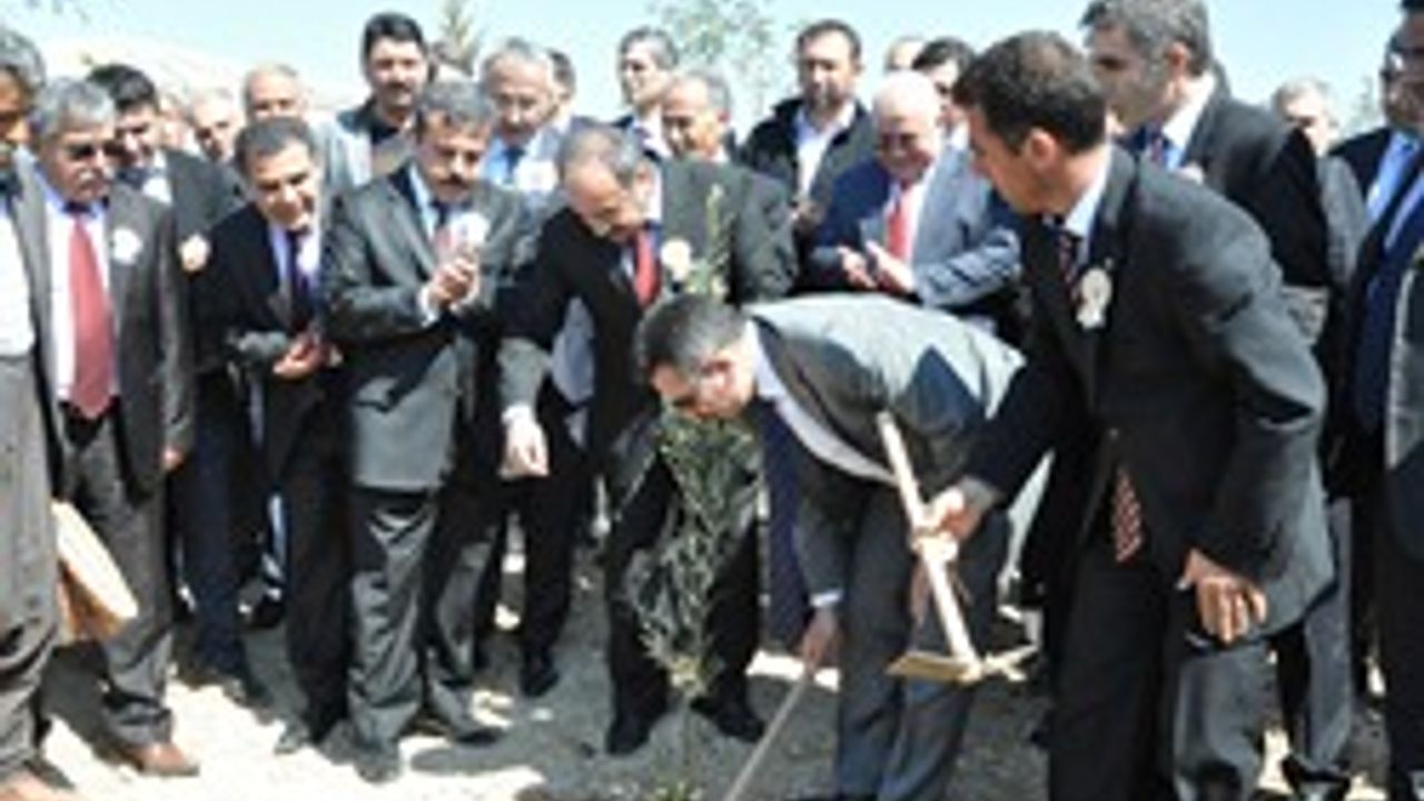 Türkiye'nin İlk Bal Ormanı Dedeler Köyünde Açıldı