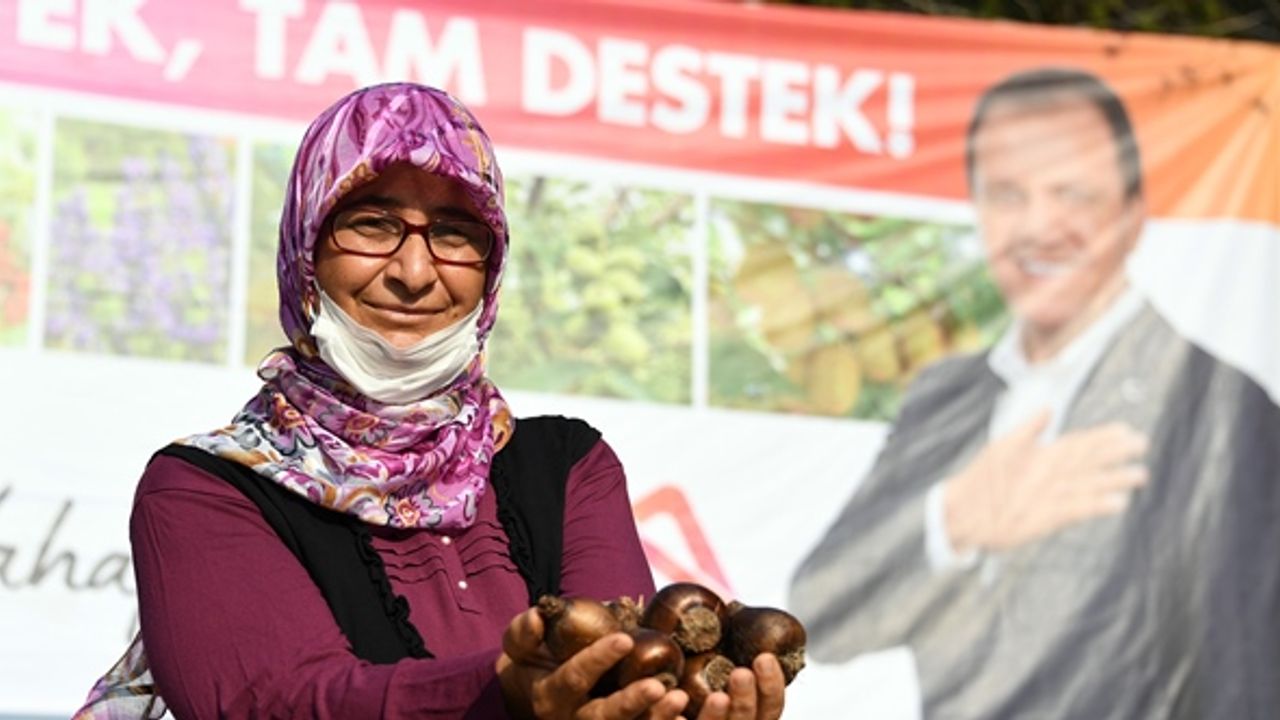Büyükşehir ile Toroslar’ın Etekleri Nergis Kokacak