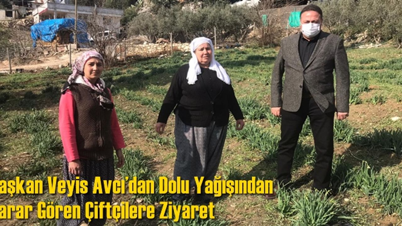 Başkan Veyis Avcı’dan Dolu Yağışından Zarar Gören Çiftçilere Ziyaret