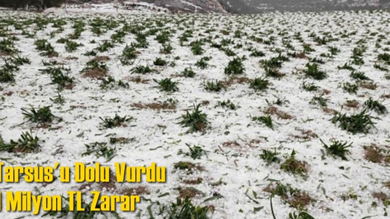 Tarsus’u Dolu Vurdu, 1 Milyon TL Zarar