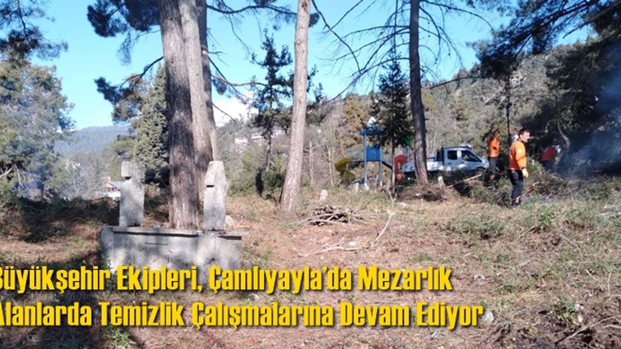 Büyükşehir Ekipleri, Çamlıyayla’da Mezarlık Alanlarda Temizlik Çalışmalarına Devam Ediyor