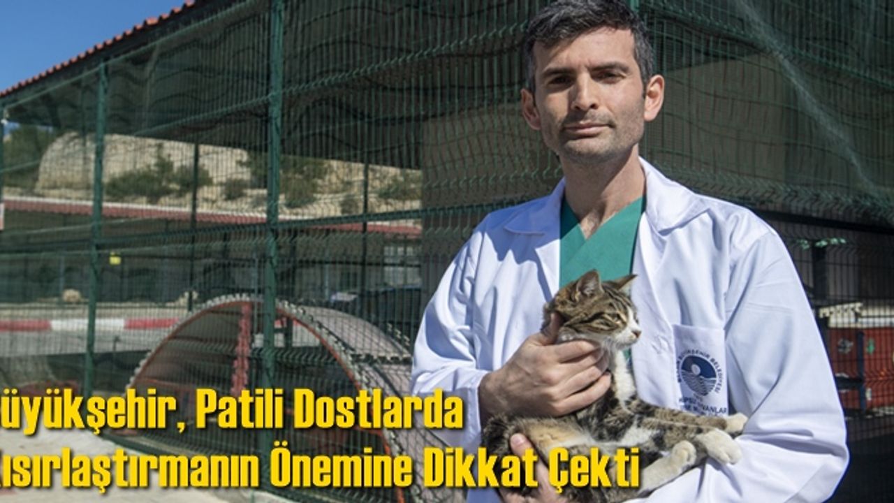 Büyükşehir, Patili Dostlarda Kısırlaştırmanın Önemine Dikkat Çekti