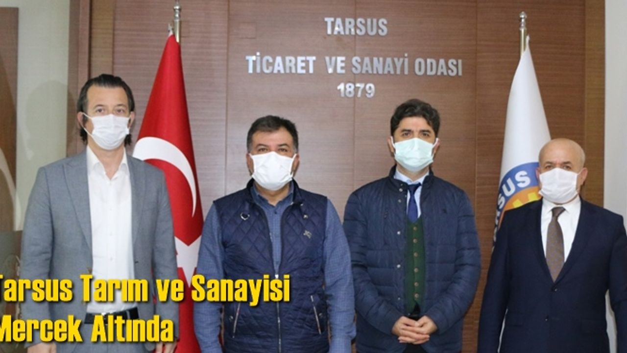 Tarsus Tarım ve Sanayisi Mercek Altında