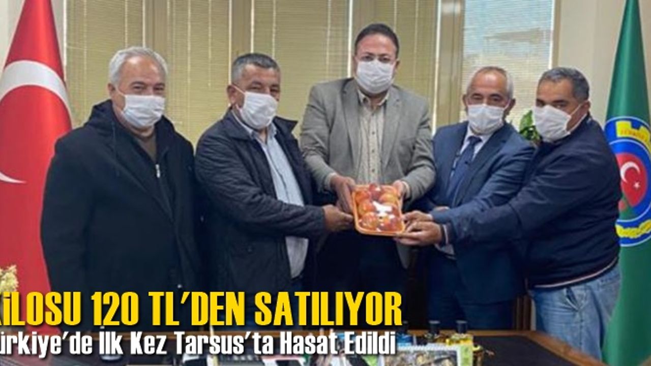 Türkiye'de İlk Şeftali Hasadı Tarsus'ta Yapıldı