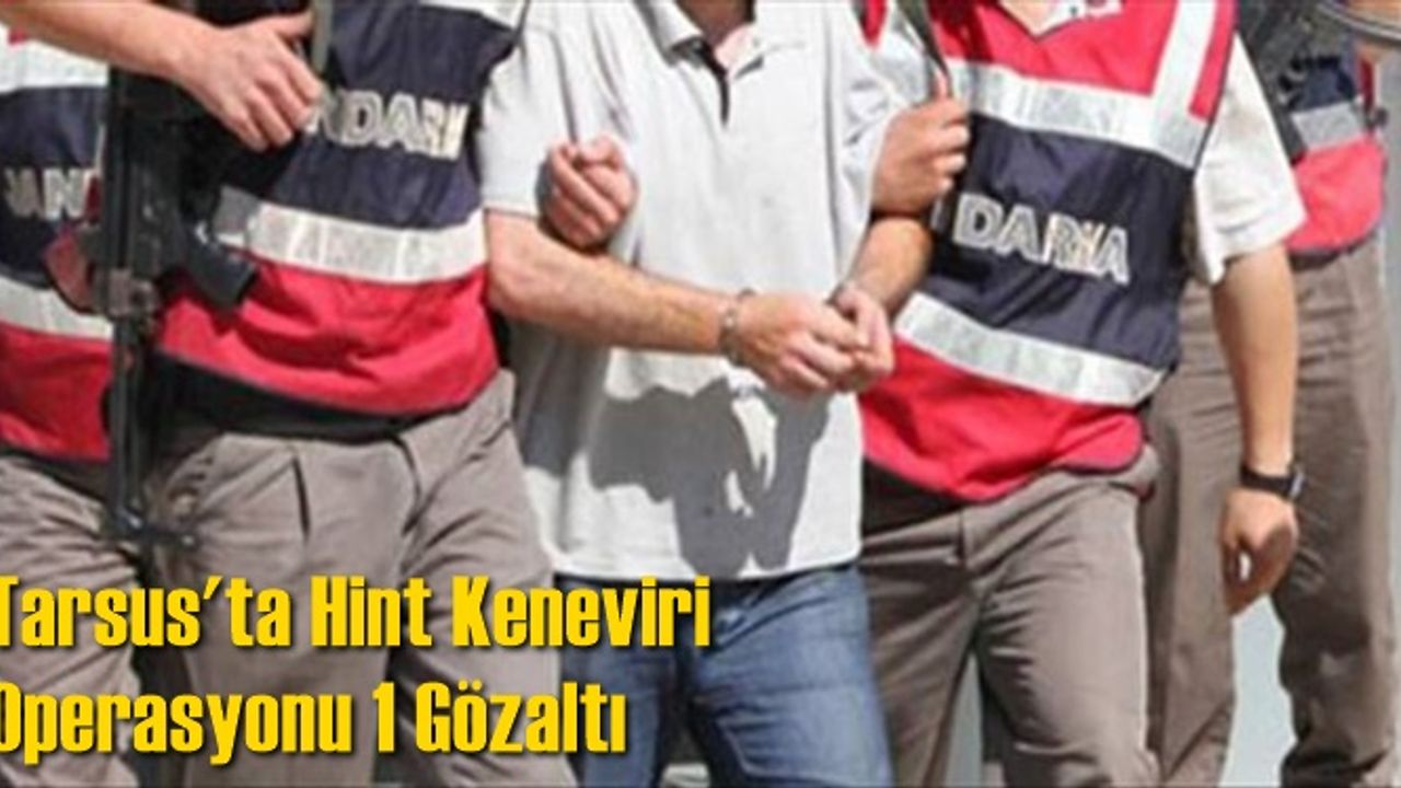 Tarsus'ta Hint Keneviri Operasyonu 1 Gözaltı