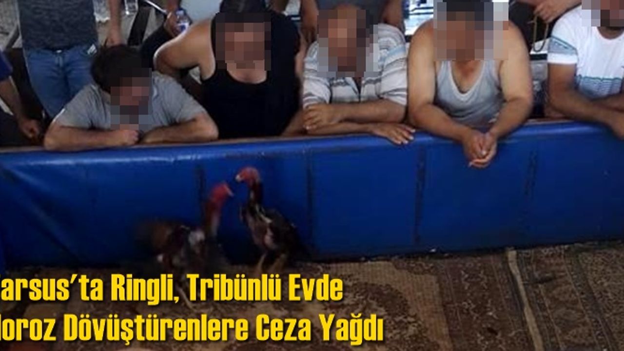 Tarsus'ta Ringli, Tribünlü Evde Horoz Dövüştürenlere Ceza Yağdı