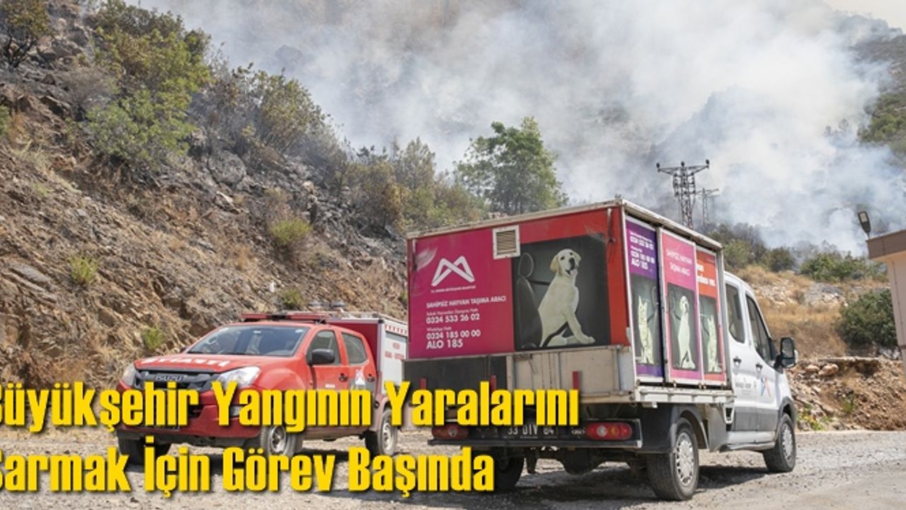 Büyükşehir Yangının Yaralarını Sarmak İçin Görev Başında