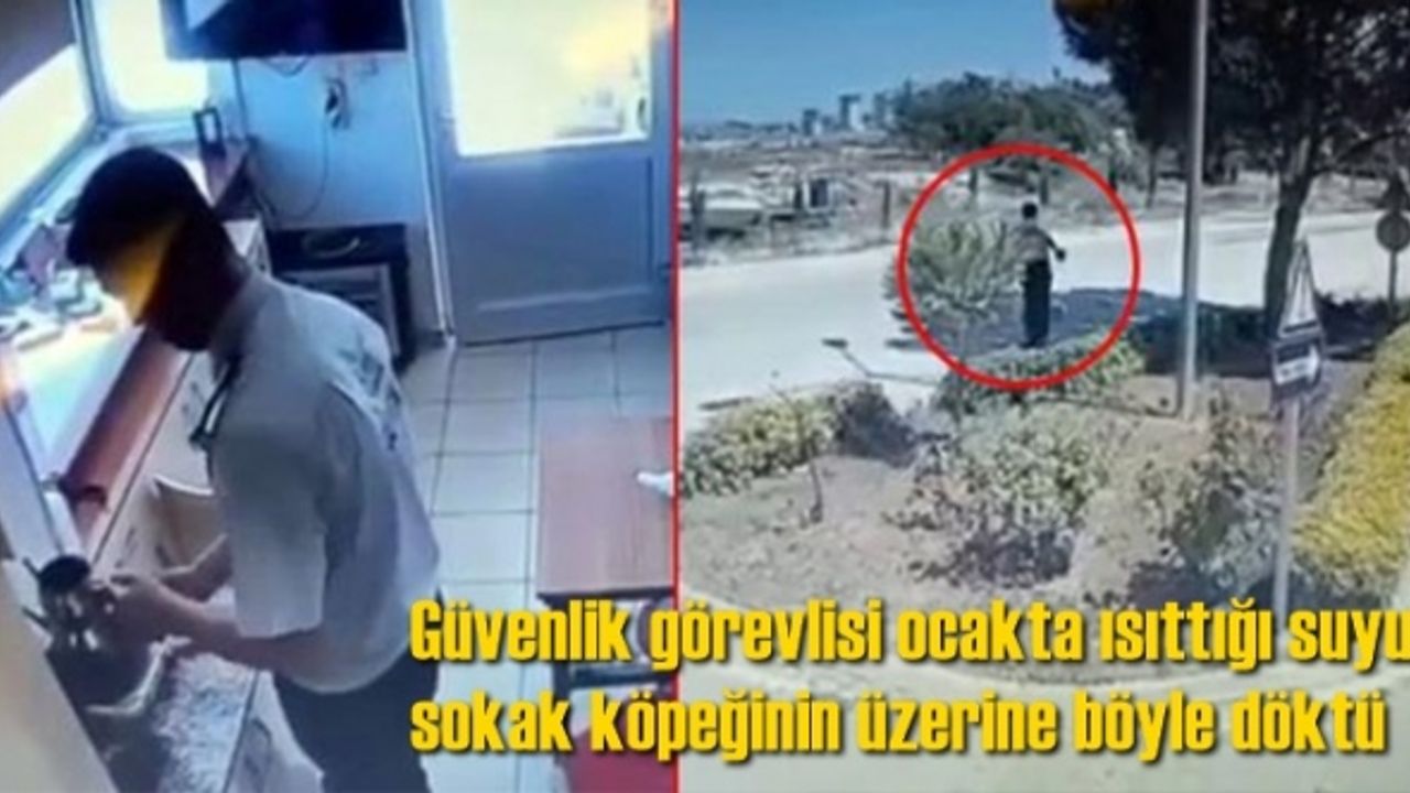 Güvenlik görevlisi ocakta ısıttığı suyu sokak köpeğinin üzerine böyle döktü