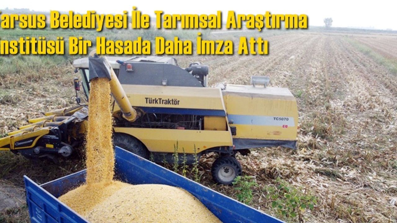 Tarsus Belediyesi İle Tarımsal Araştırma Enstitüsü Bir Hasada Daha İmza Attı
