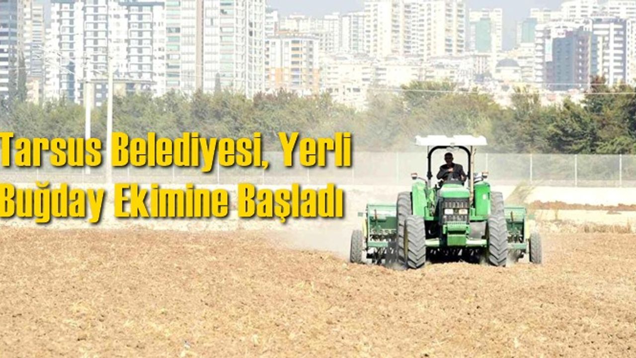 Tarsus Belediyesi, Yerli  Buğday Ekimine Başladı