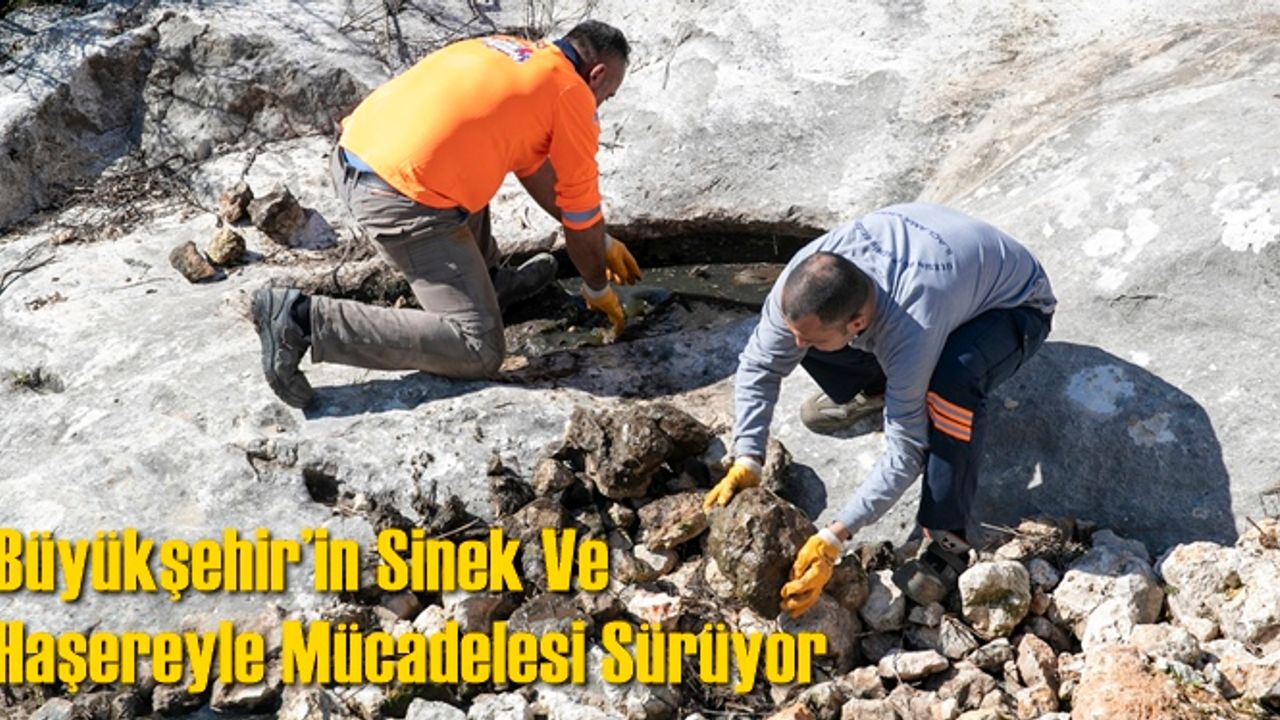 Büyükşehir’in Sinek Ve Haşereyle Mücadelesi Sürüyor