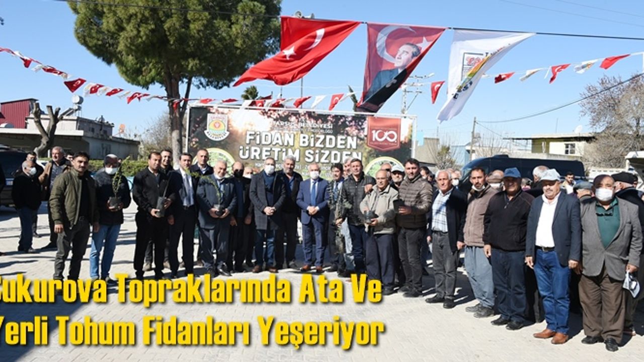 Çukurova Topraklarında Ata Ve Yerli Tohum Fidanları Yeşeriyor