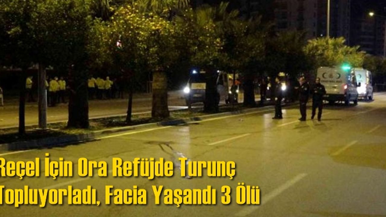 Reçel Yapmak İçin Refüjde Turunç Toplayan Kadınlara Otomobil Çarpması Sonucu 3 Kadın Öldü