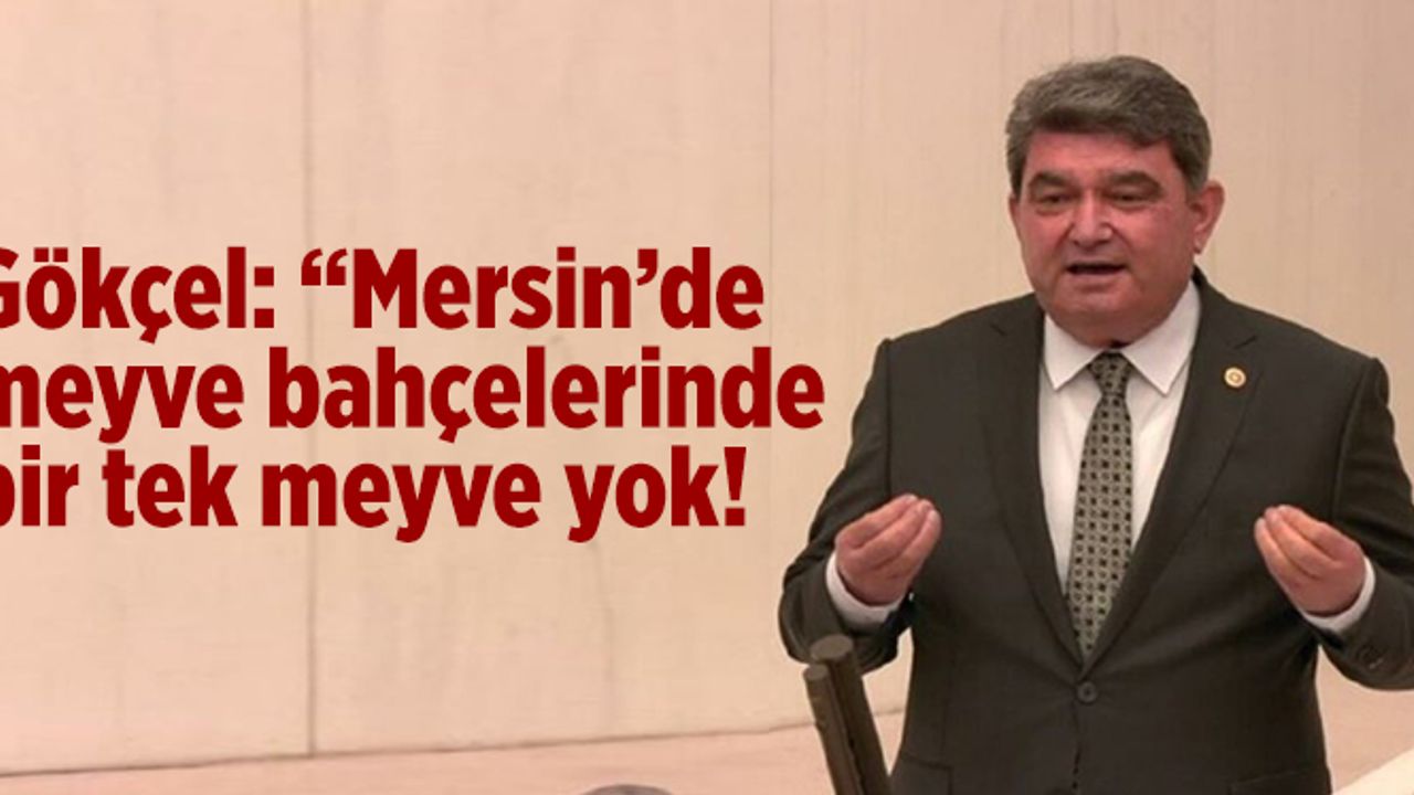 Gökçel: Bereketli Topraklarda Gıda Enflasyonunu Konuşmak Çok Acı