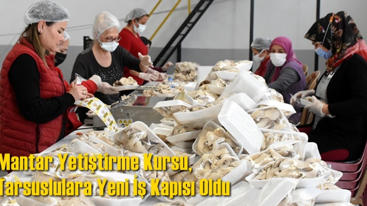 Mantar Yetiştirme Kursu, Tarsuslulara Yeni İş Kapısı Oldu