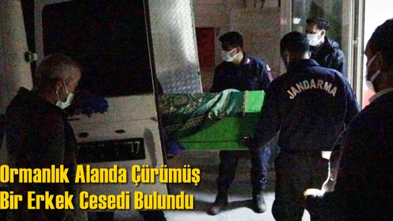 Ormanlık Alanda Erkek Cesedi Bulundu