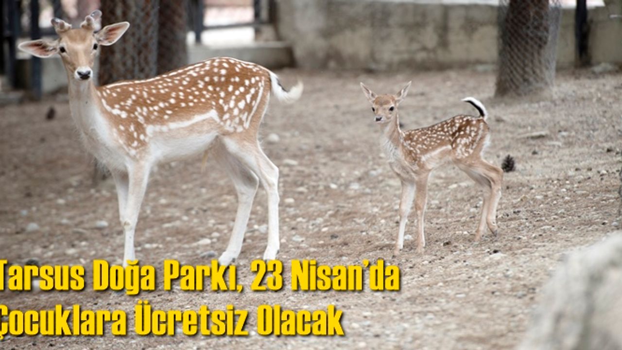 Tarsus Doğa Parkı, 23 Nisan’da Çocuklara Ücretsiz Olacak