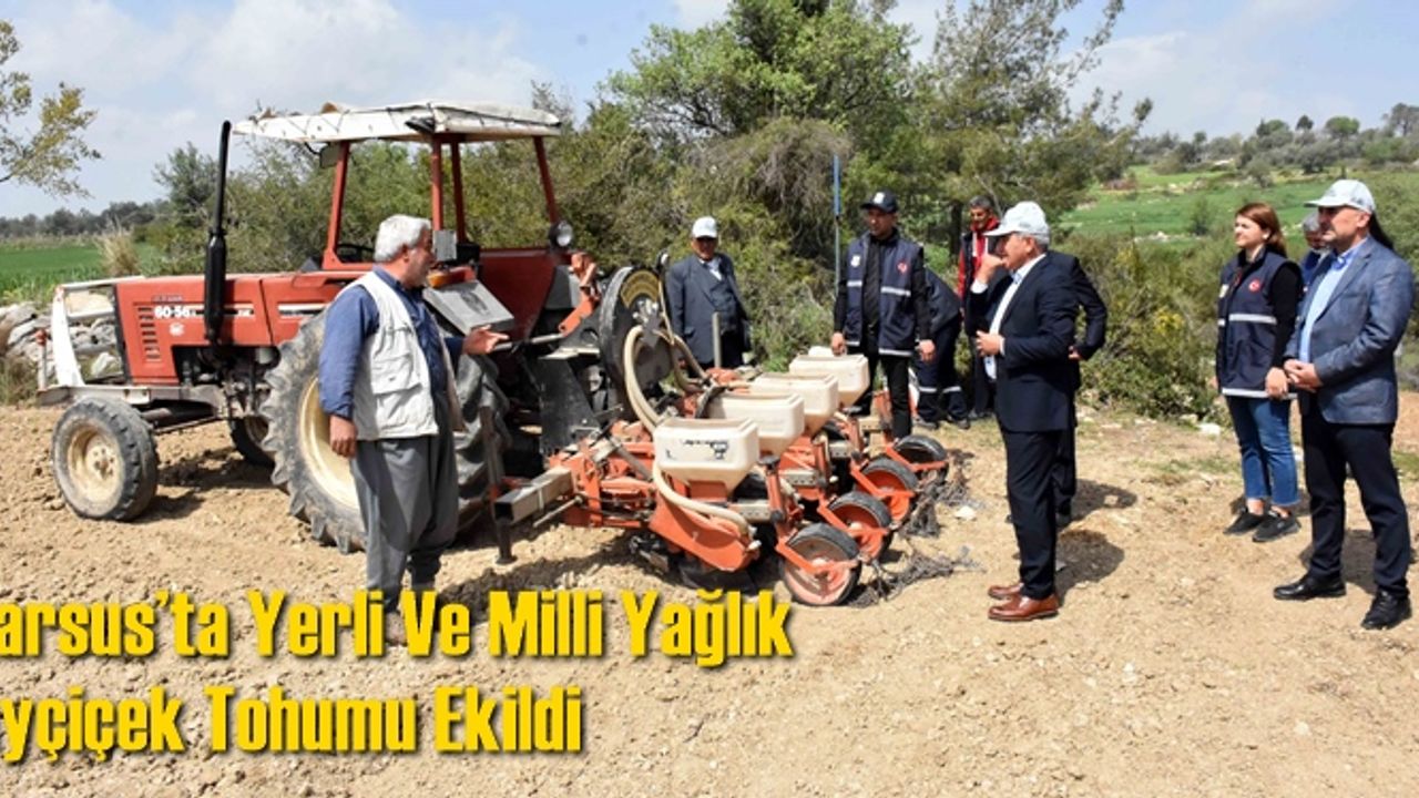 Tarsus’ta Yerli Ve Milli Yağlık Ayçiçek Tohumu Ekildi