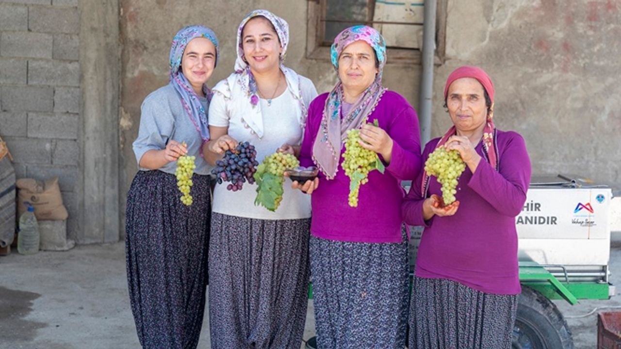 Büyükşehir’in Üzüm Sıkma Makinesi Hibesi İle Üreticinin Yüzü Gülüyor