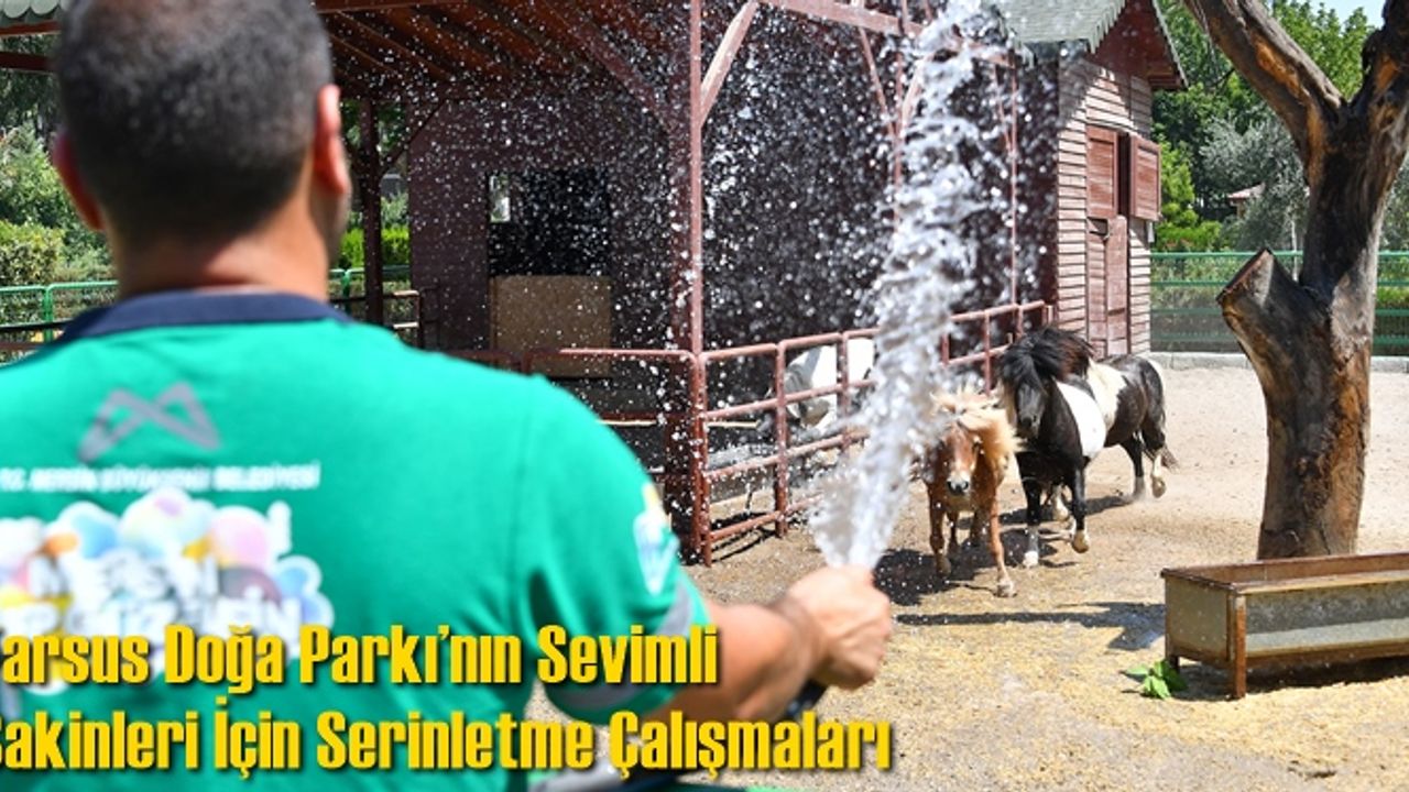Tarsus Doğa Parkı’nın Sevimli Sakinleri İçin Serinletme Çalışmaları