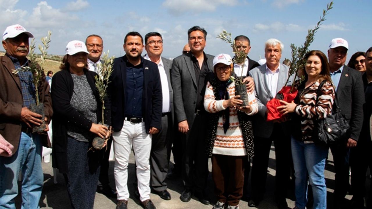 Mersin Büyükşehir Belediyesi Proje Kapsamında Kent Genelinde Toplam 42 Bin 660 Adet Zeytin Fidanı Dağıtılacak