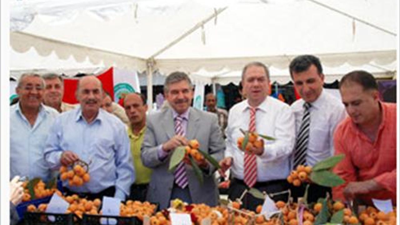 Tarsus Ziraat Odası Başkanı Ali Ergezer, malta eriğinin ekim alanları her geçen yıl artıyor