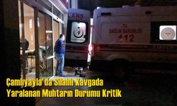 Çamlıyayla'da Silahlı Kavgada Yaralanan Muhtarın Durumu Kritik