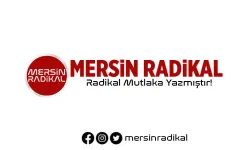 Mersin Haber: Son Dakika Gelişmeleri Mersin Radikal'de