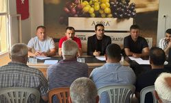 Tarsus'ta Arra Üzüm Üreticileri Kooperatifi Kuruldu: Kaliteli Üretim İçin Güç Birliği