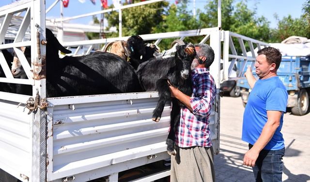 Mersin’in Tarım Ve Hayvancılığı Büyükşehir’in Projeleriyle Kalkınıyor